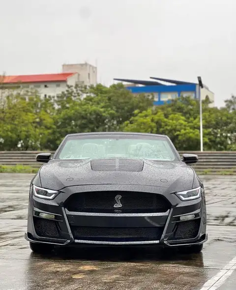 Ford Mustang Shelby