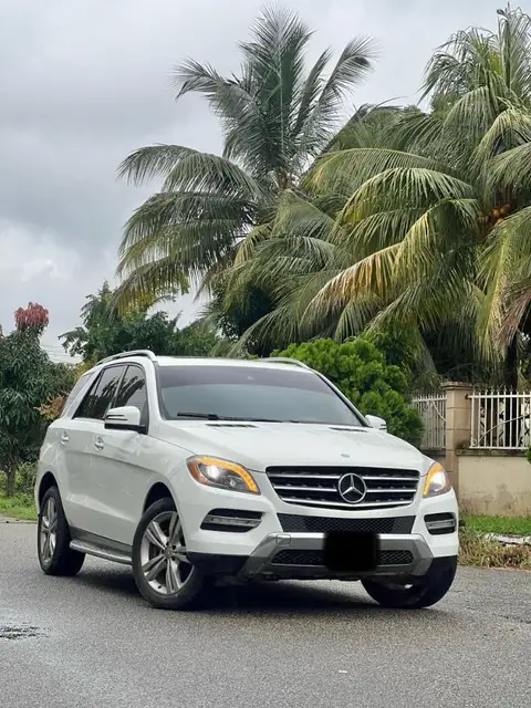 Mercedes Benz ML-Class ML350