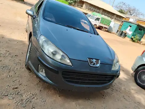 Peugeot 407