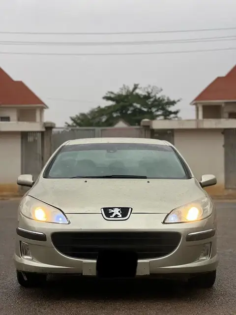 Peugeot 407