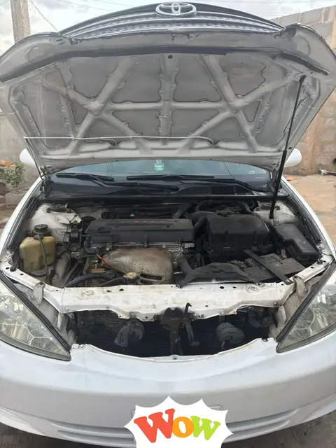Toyota Camry Big daddy 