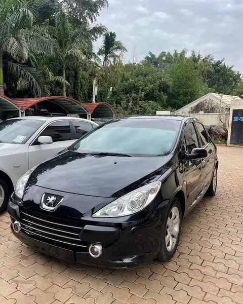 Peugeot 307